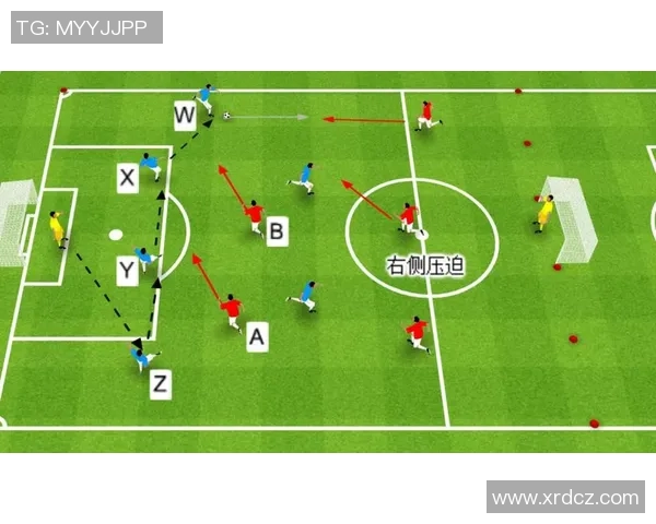 深入分析成都篮球队独特的防守策略与战术执行