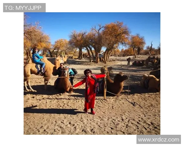 滑板人生的深度对话：赵强与梦想的追逐与坚持